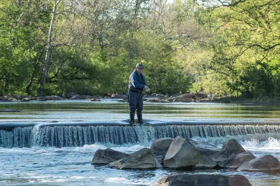 A lone fisherman enjoys fly-fishing in the picturesque Brandywine Valley.