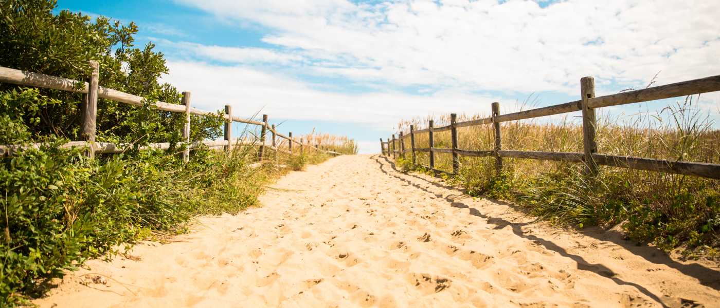 Virginia Beach Weather Get The 7 Forecast Seasonal Information