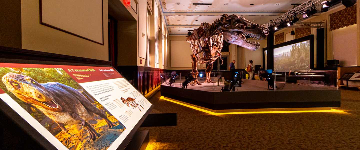 SUE: The T. Rex Experience - Great Overland Station | Topeka, KS