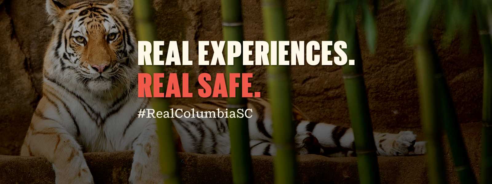 Real Experiences. Real Safe.