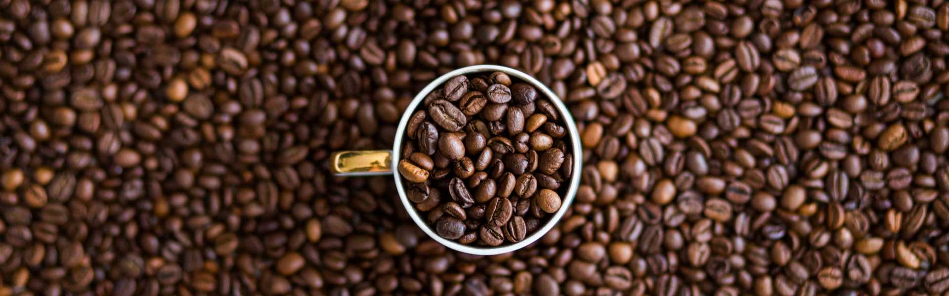 Sunset Stock Coffee Beans