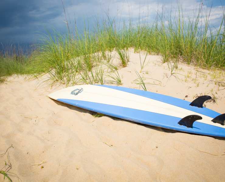 17th street surf shop red mill best sale
