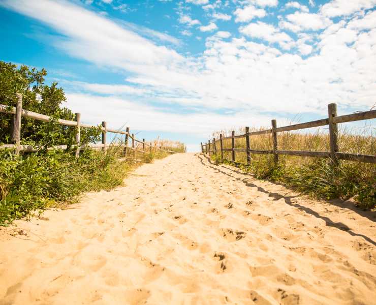 Virginia Beach Weather Get The 7 Forecast Seasonal Information