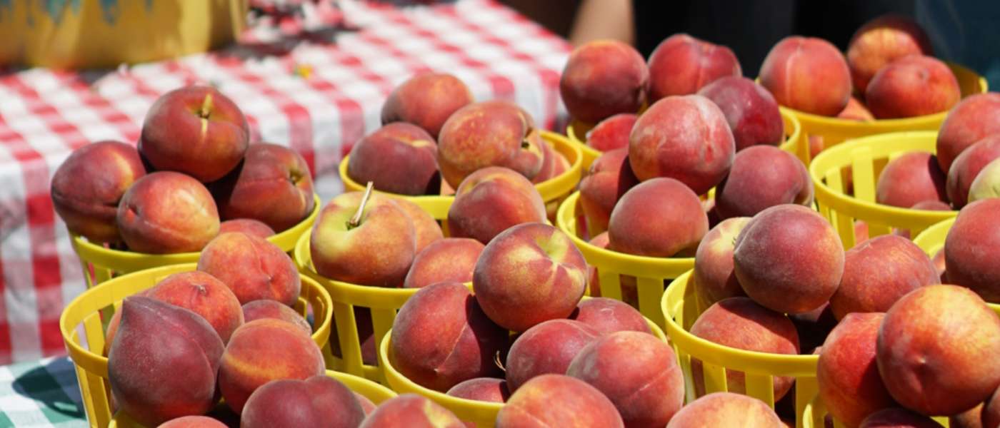 Peaches in basket at farmers market