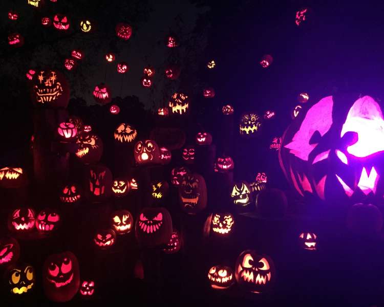 Carved pumpkins glowing in the dark for the Jack-o-Lantern Spectacular in Rhode Island