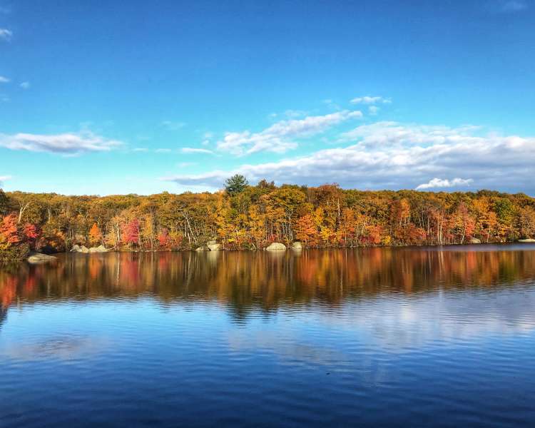 Colorful fall foliage across a reflective pond on a clear day.