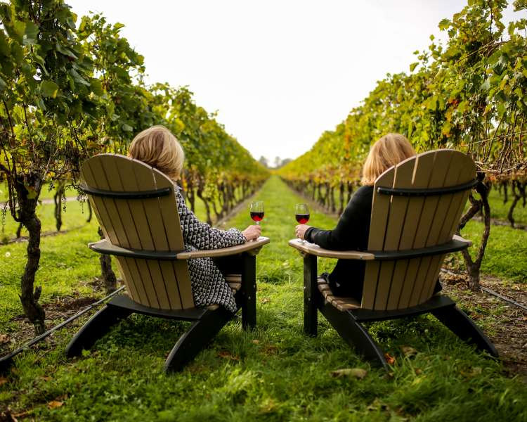 Newport Vineyards