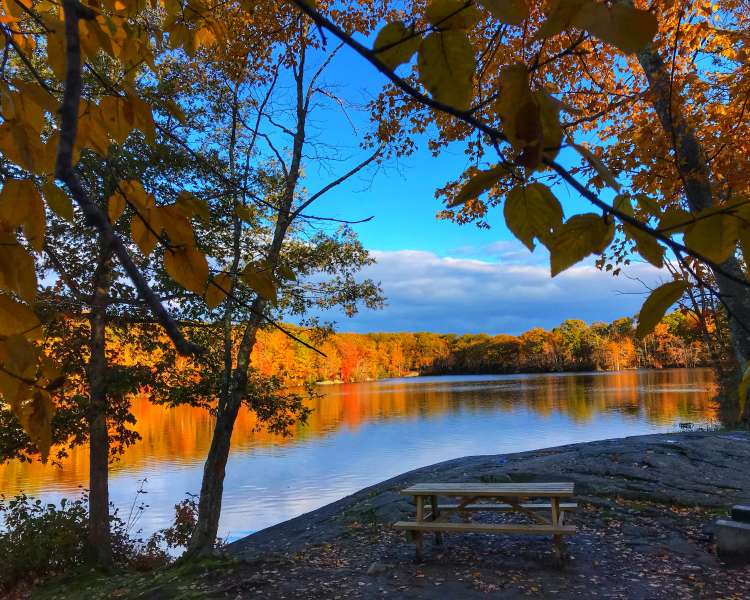 Lincoln Woods - Fall Foliage