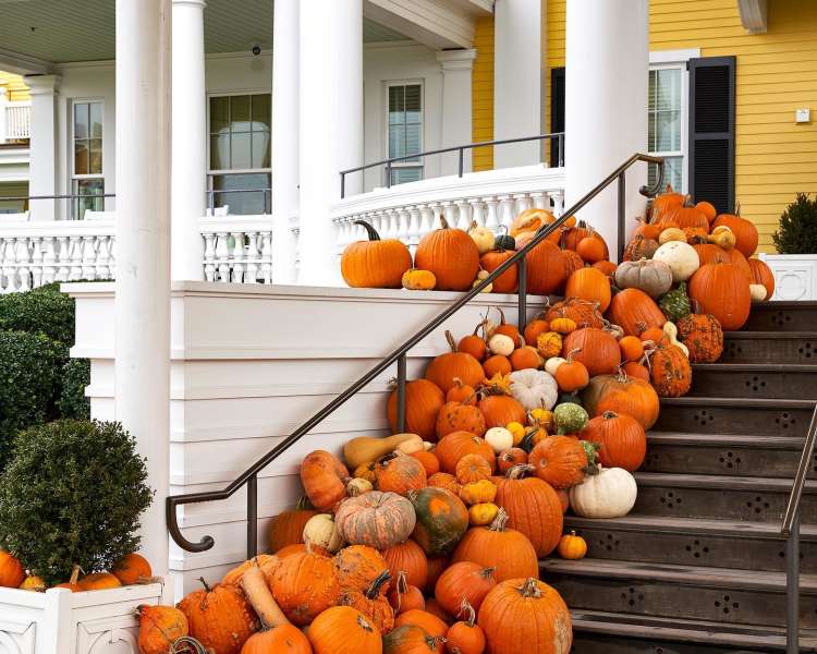 Ocean House Fall Pumpkins