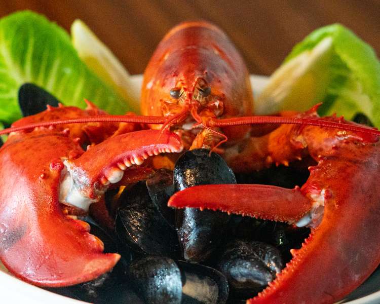 lobster