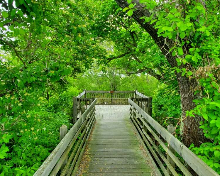 Trustom Pond Trail