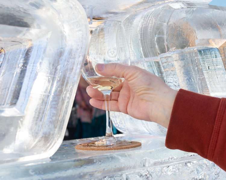 Newport Vineyards - Winter