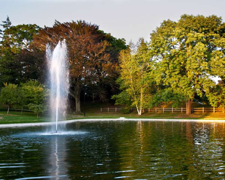 Wilcox Park