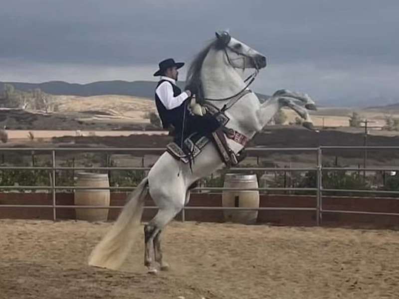 Raul Ramirez