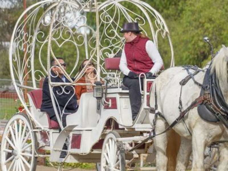 Temecula Carriage Company
