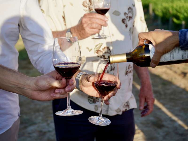 Pouring Wine Glasses in Vineyards