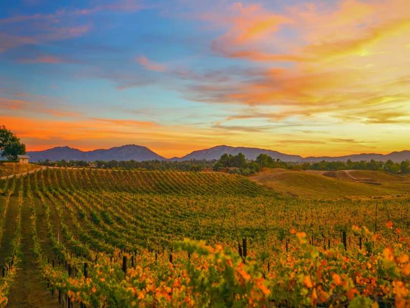 Fall in Temecula Valley