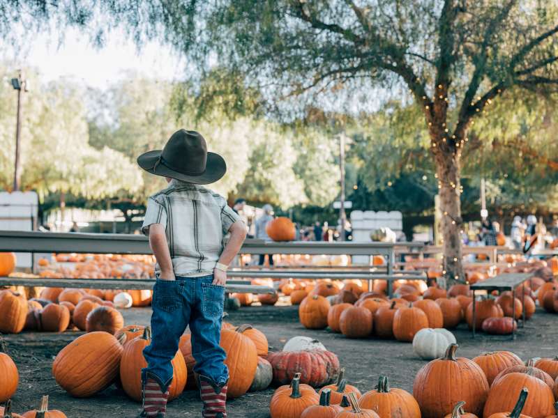 Peltzer Pumpkin Farm - Fall