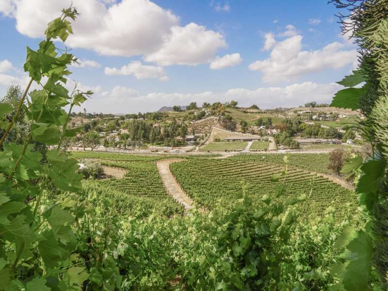 Winery Map