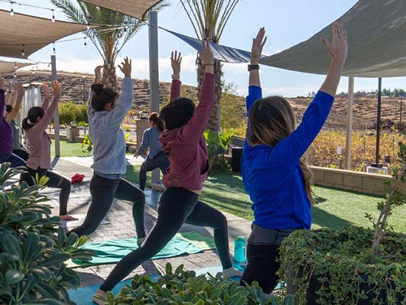 People Enjoying Yoga at Akash