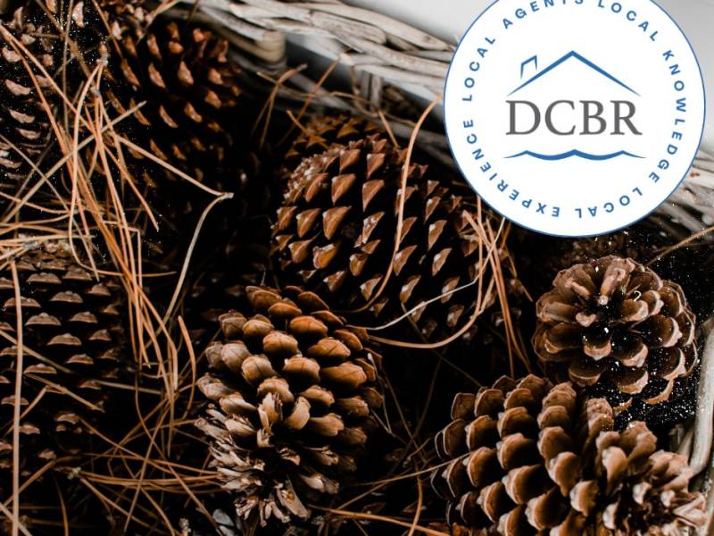 Door County Board of REALTORS®