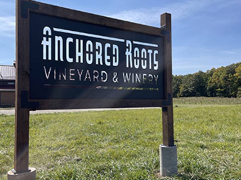 Wine & Wineries Anchored Roots Vineyard & Winery
