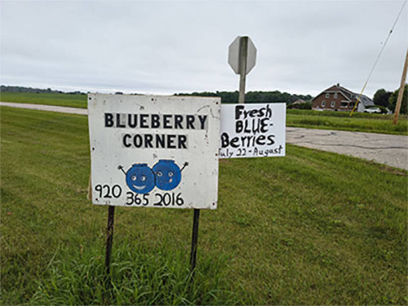 Blueberry Corner