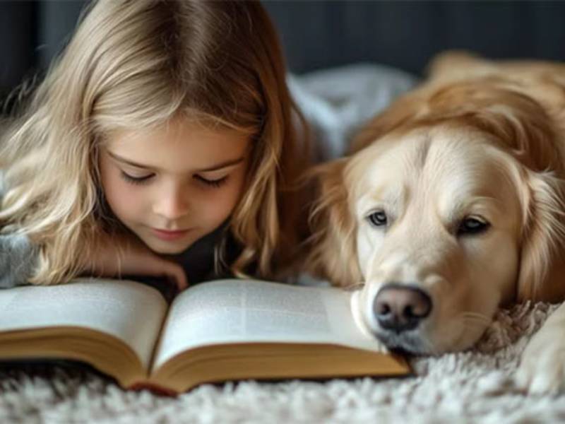 Moving to Door County Door County Therapy Dog Teams, Inc.