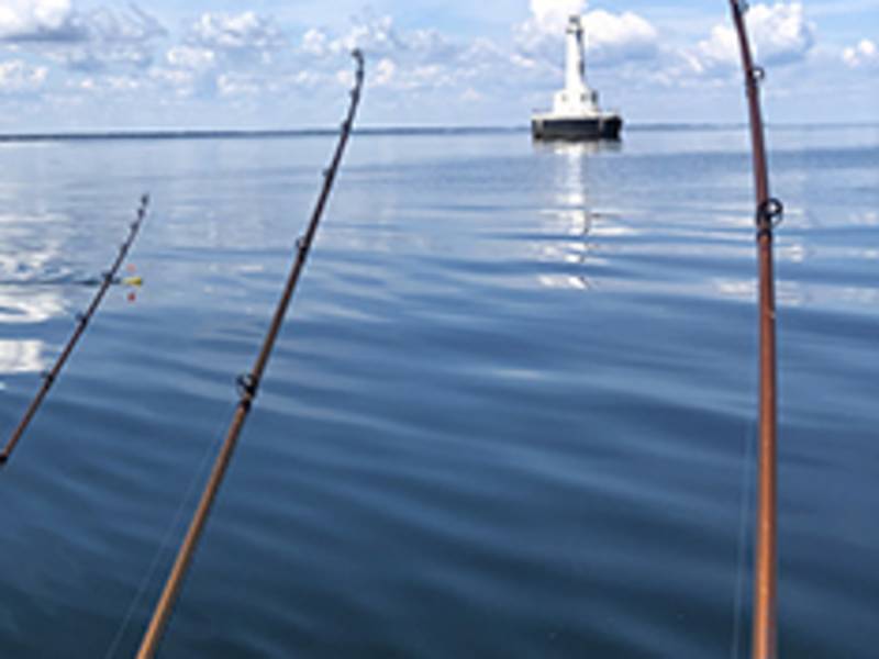 Business Directory Fin Pursuit Fishing Charters