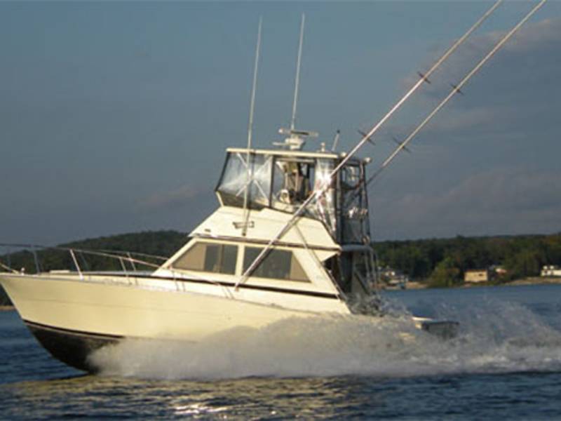Water Activities Hooked Up Sport Fishing Charters