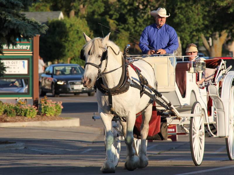 Scenic Tours Mayberry’s Carriages-Ephraim
