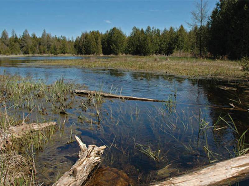 Nature Preserves & Conservation Three Springs Nature Preserve