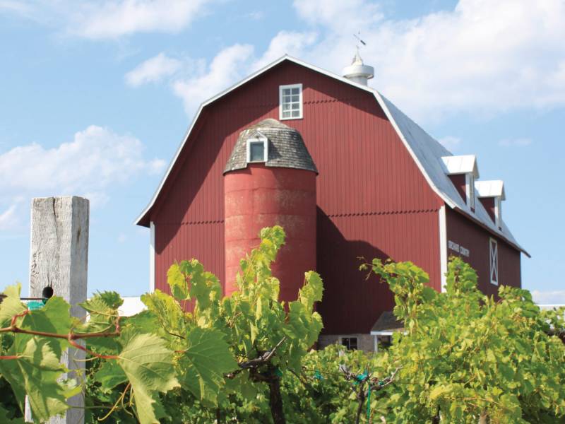Wine & Wineries Lautenbach’s Market, Winery, Cider Co.
