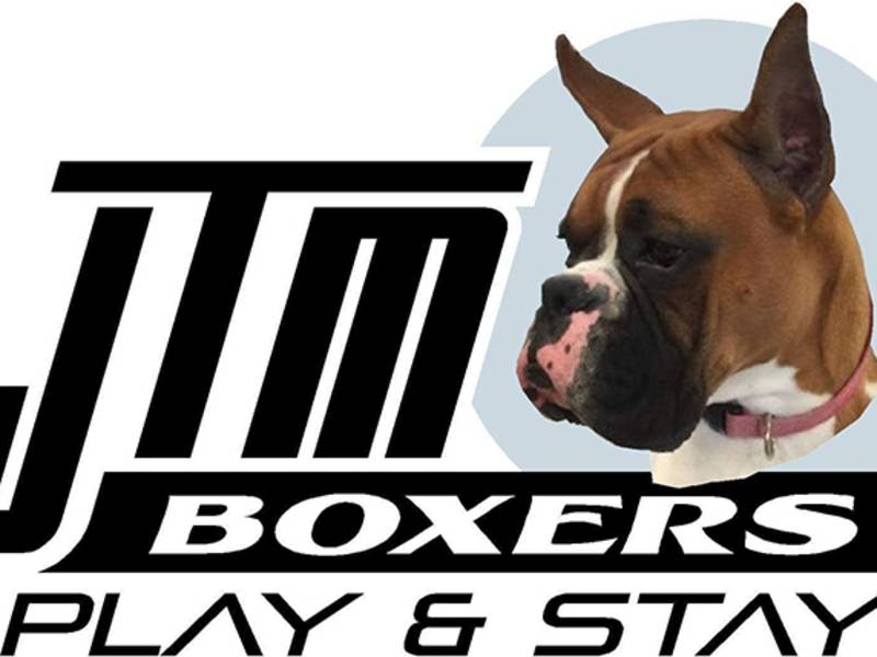 Business Directory JTM Boxers Play and Stay