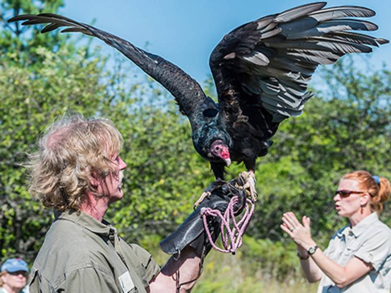 Nature Preserves & Conservation Open Door Bird Sanctuary