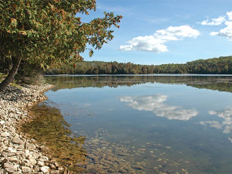 Little Lake Nature Preserve