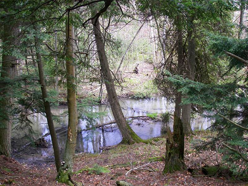 Nature Preserves & Conservation Heins Creek Nature Preserve