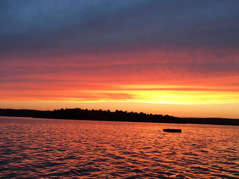 Business Directory East Shorewood Cottages