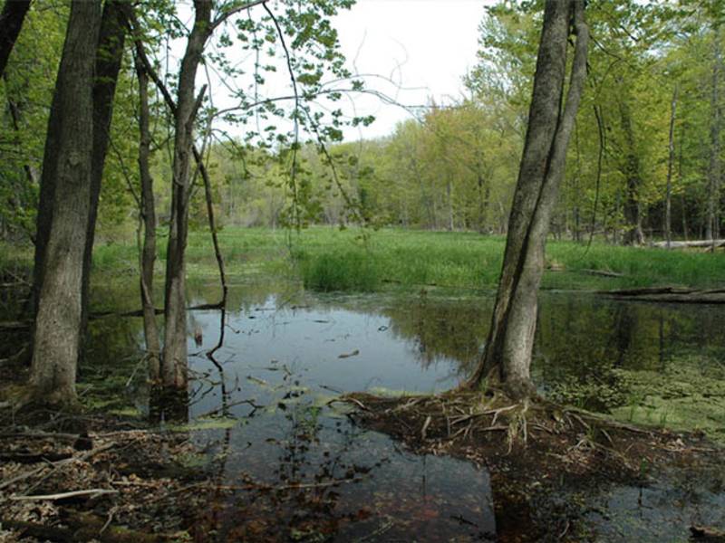 Nature Preserves & Conservation Ephraim Preserve at Anderson Pond