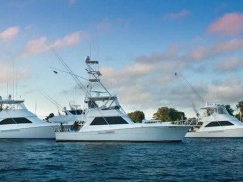 Business Directory Reel Action Sport Fishing Charters