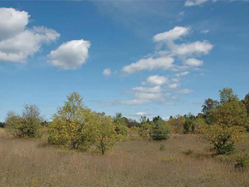 Nature Preserves & Conservation Domer-Neff Nature Preserve and Bird Sanctuary