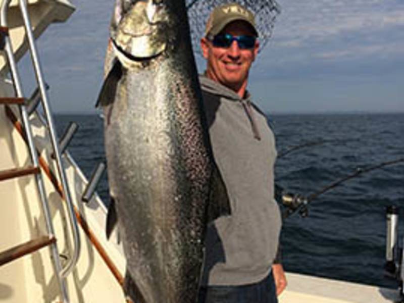 Business Directory Reel Impression Sportfishing Charters