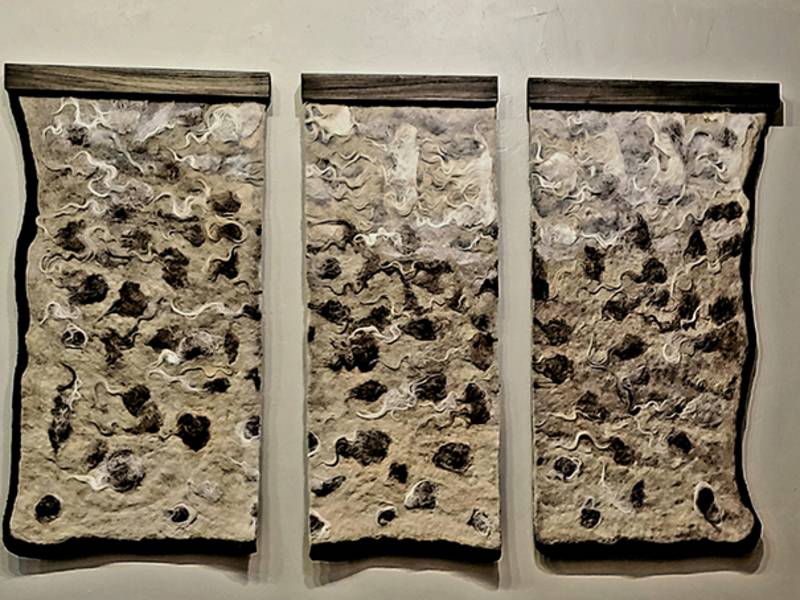 Business Directory Interfibers Studio Gallery