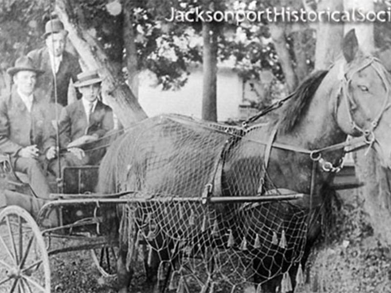 Business Directory Jacksonport Historical Society