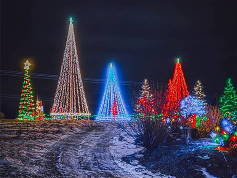 Group Activities St. Nick’s Tree Farm