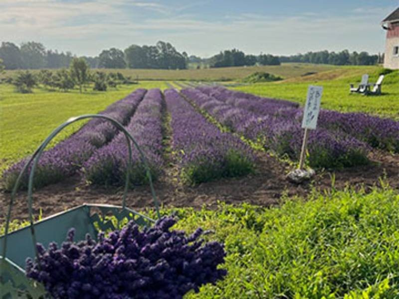 Wilder Farms Door County