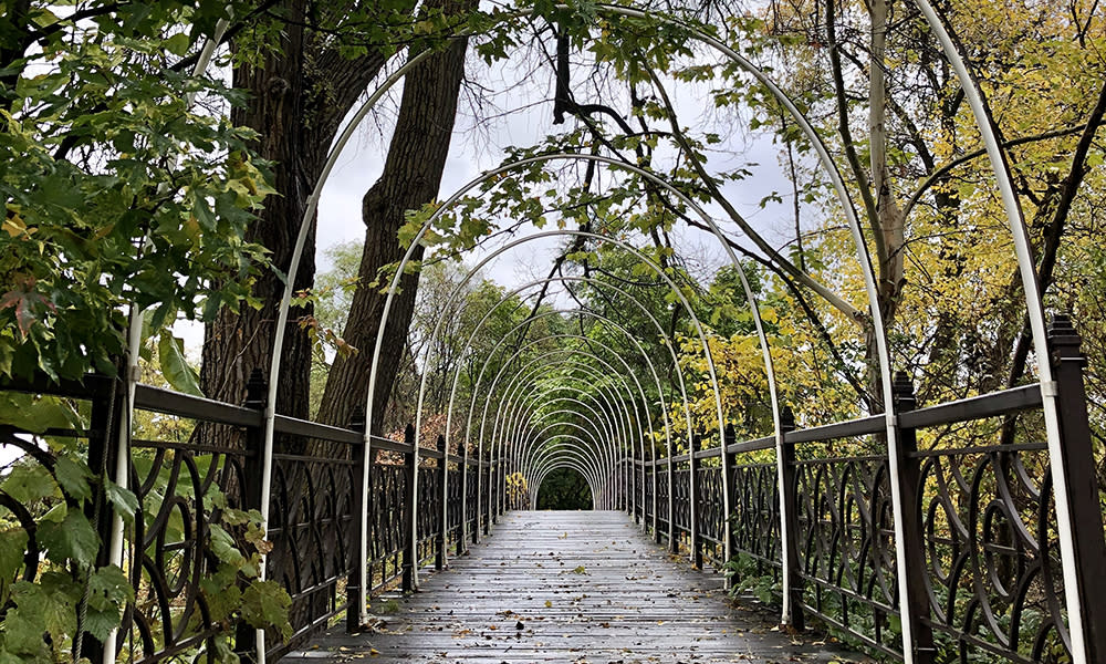 A bridge carves its way through Olbrich Botanical Gardens in Madison, WI