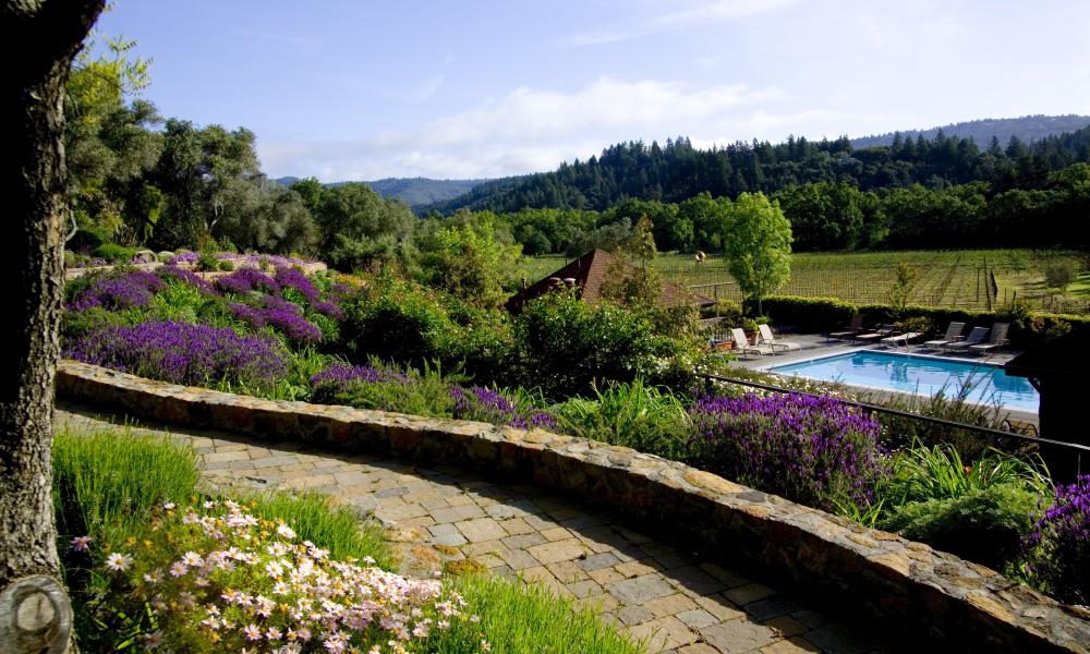 Six Hotels With Extraordinary Vineyard Views