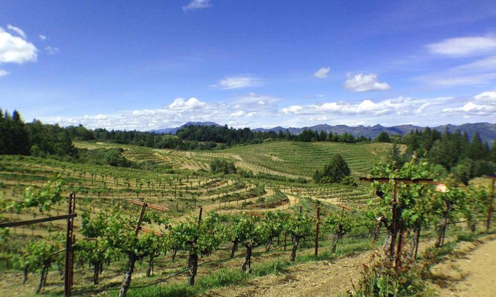 Discover the Napa Valley wineries within the Spring Mountain appellation The Visit Napa Valley