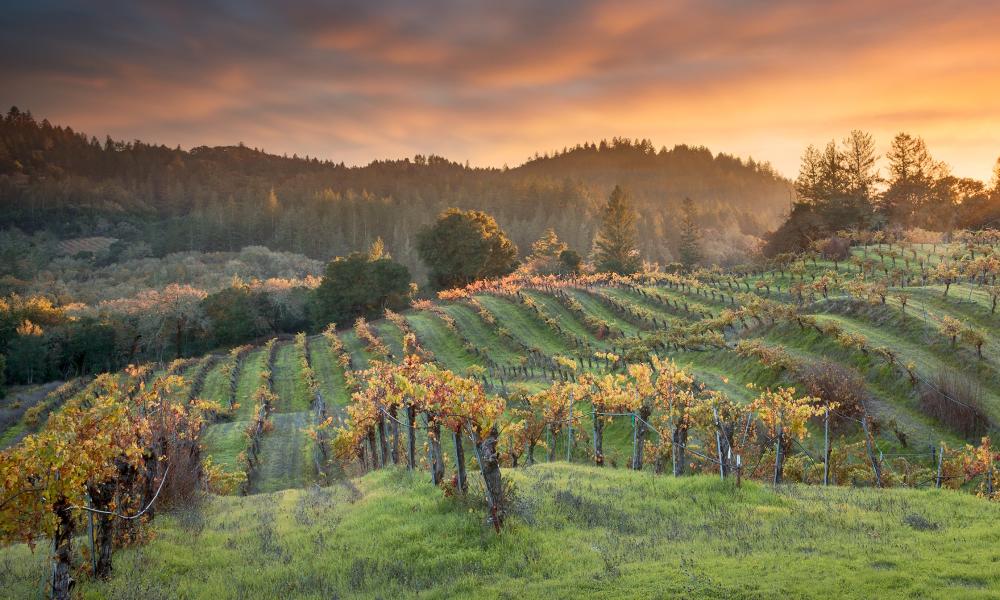 Winter In The Wineries Passport The Best Solution To Enjoy Tastes From The Top